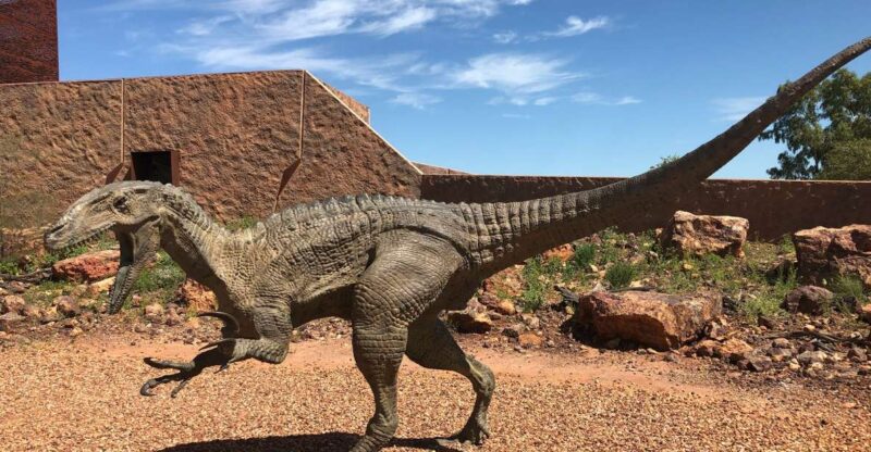 Age of Dinosaurs Museum Half Day Tour - RDT Guided Transfers - Key Points