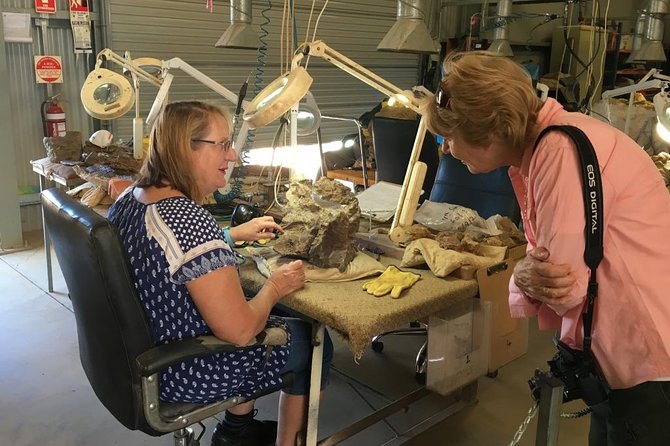 Age of Dinosaurs Museum Half Day Tour With Red Dirt Tours - Inclusions and Pricing