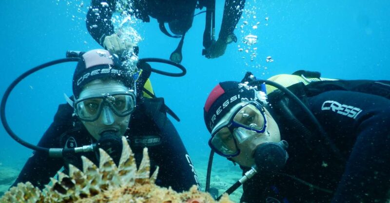 Agia Pelagia: Introduction to Scuba Diving Experience - Key Points