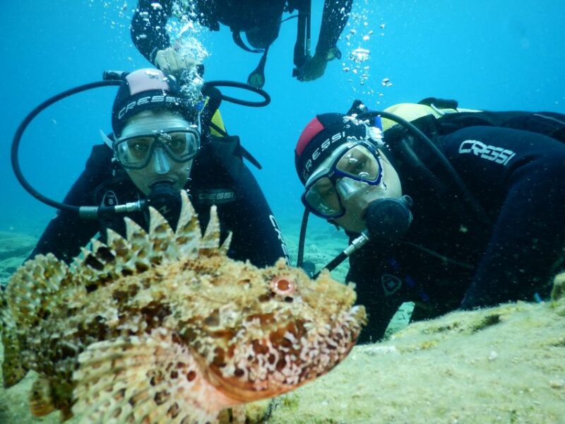 Agia Pelagia: Introduction to Scuba Diving Experience - Safety and Supervision