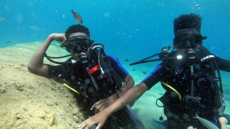 Agia Pelagia: PADI Open Water Diver International Course - Language Options