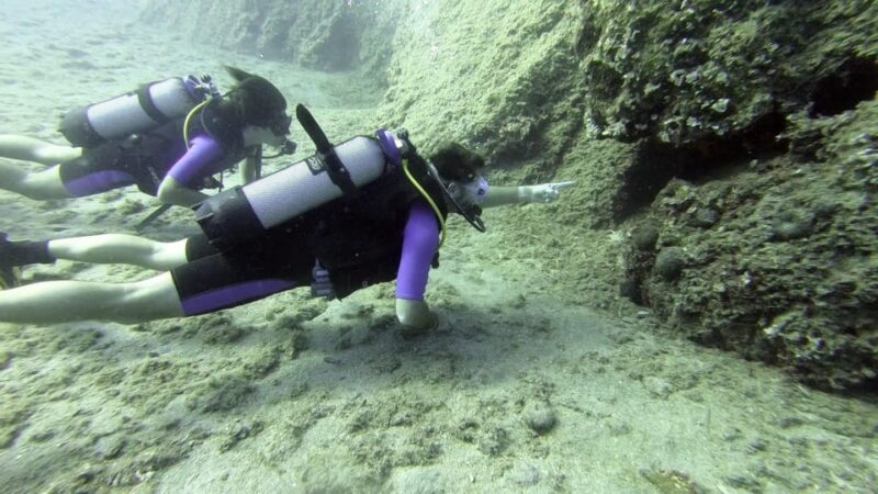 Agia Pelagia: PADI Open Water Diver International Course - Training Facility and Equipment