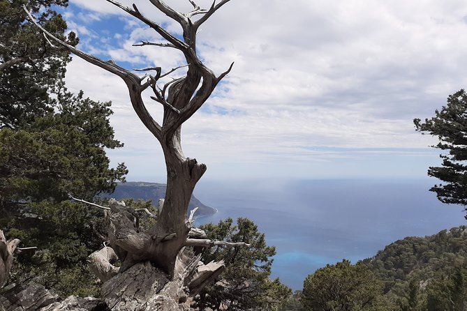 AGIA ROUMELI-PAPOURA Peak, Hike Adventure - Preparing for the Hike