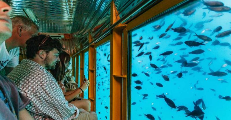 Agios Nikolaos: Semi-Submarine Cruise - Cruise Highlights