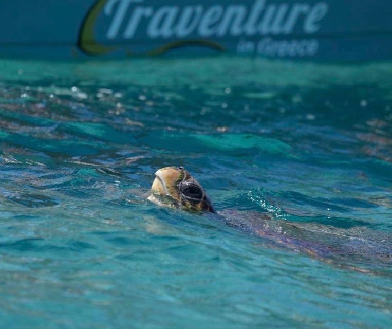 Agios Sostis Harbour: Rent Your Own Boat! - Pricing and Booking Information