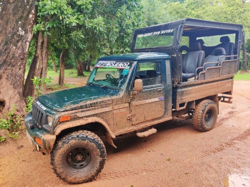 AGN Yala Safari - Leopard Tours - Key Points