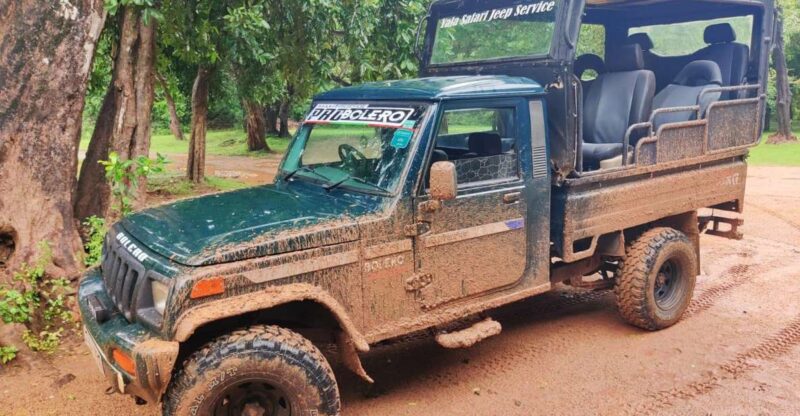 AGN Yala Safari - Leopard Tours - Wildlife Experiences