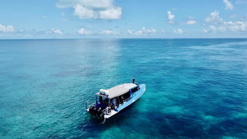 Agnes/1770: Southern Great Barrier Reef Snorkelling Day Trip - Key Points