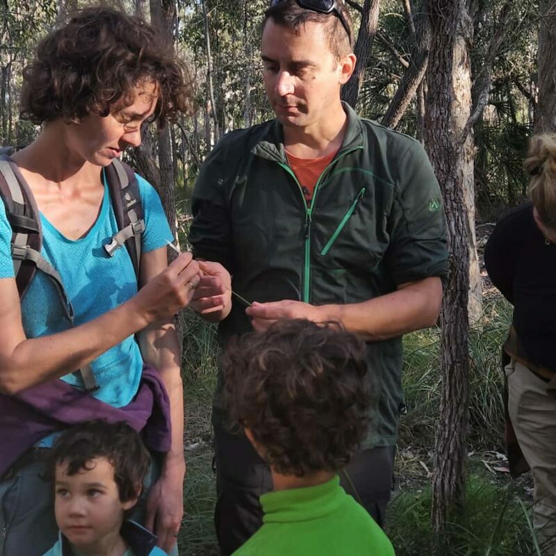 Agnes Water: BushTracks Eco Tour with local guide - The Sum Up