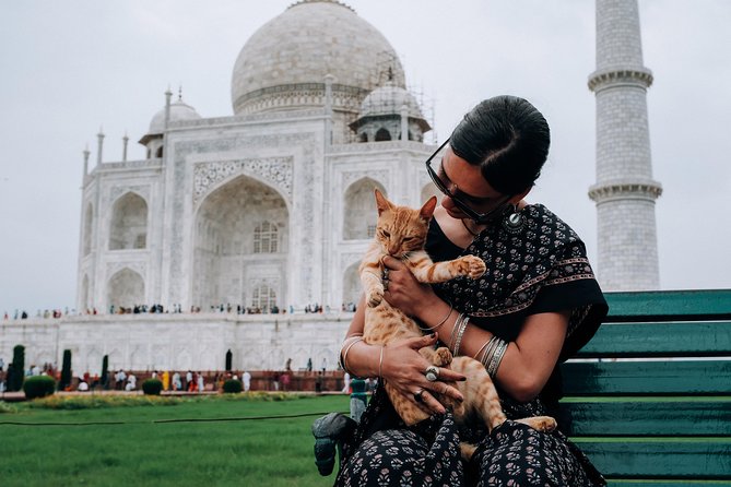 Agra Half-Day Tour of Taj Mahal and Agra Fort by Car - Itinerary and Schedule