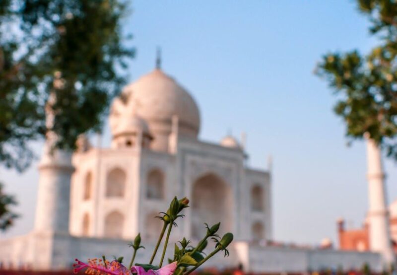 Agra: Private Taj Mahal Tour by Tuk-Tuk - Booking Details