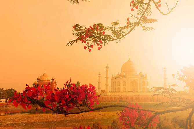 Agra: Skip the Line Ticket to Taj Mahal With Guided Tour - Accessibility and Additional Information