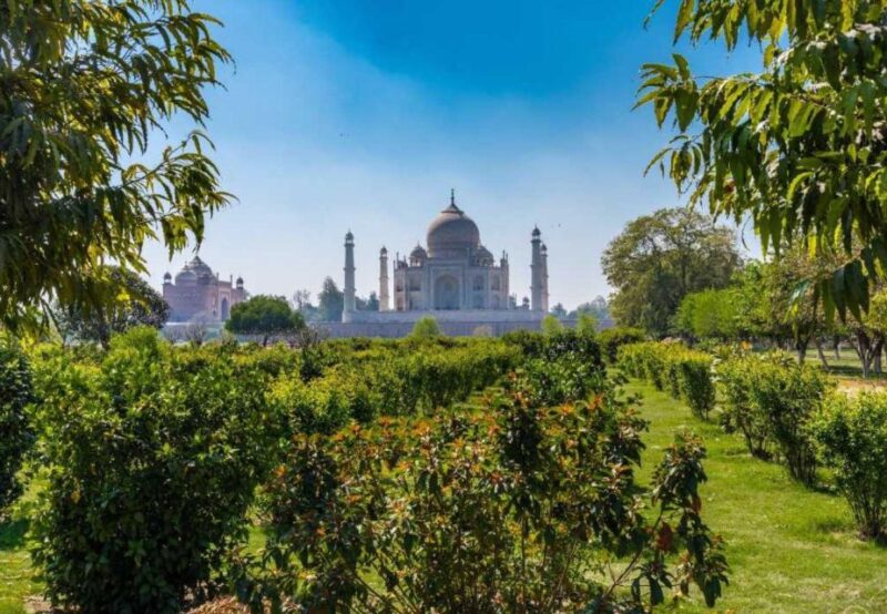 Agra: Tour Guide in Agra Full-Day - 8 Hours - Lunch Option