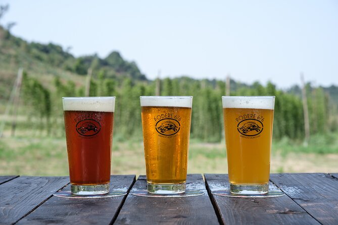 Agricultural Brewery Tour in the Roman Countryside - Discovering the Brewerys Setting