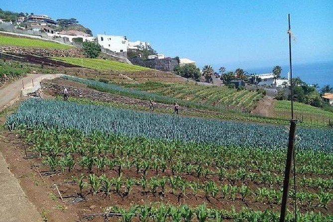 Agriculture Green Tour - Produce Farm Exploration
