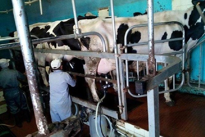 Agriculture Green Tour - Tour Inclusions and Booking