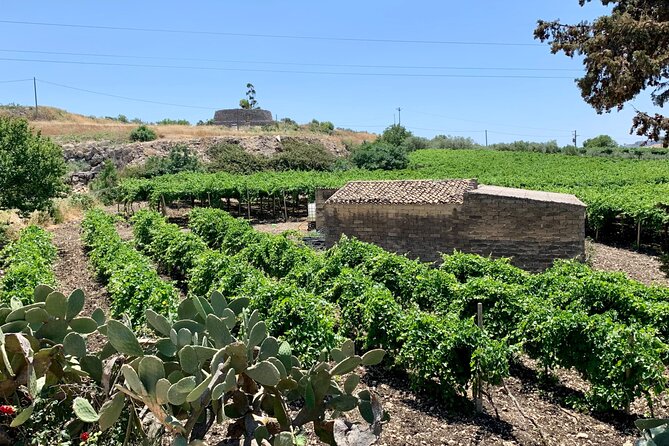 AGRIGENTO and WINERY Private Tour With Guide Driver - Health and Safety Considerations