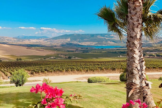 AGRIGENTO and WINERY Private Tour With Guide Driver - Exceptional Guest Reviews