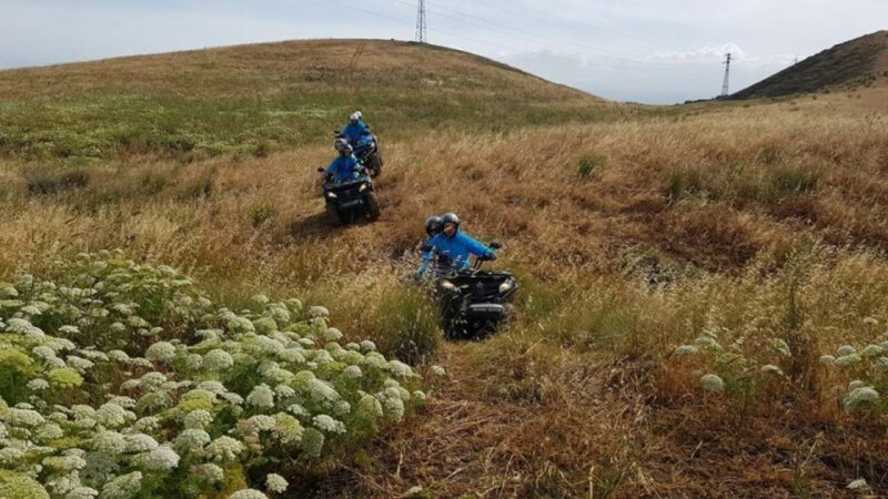 Agrigento: Quad Bike Tour With 3 Path Choices - Experience Highlights