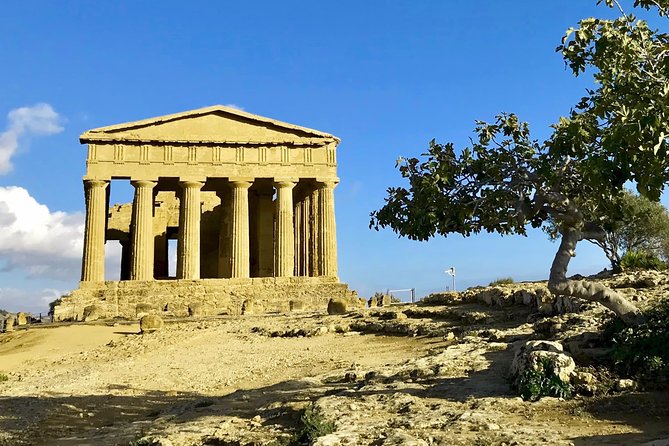 AGRIGENTO Valley of Temples Private Tour From Palermo With Guide Driver - Inclusions and Logistics