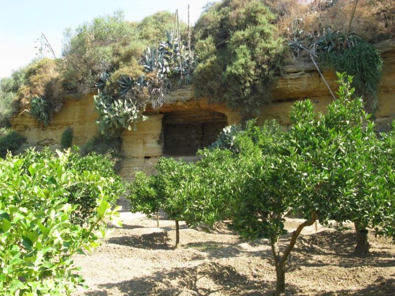 Agrigento Valley of the Temples and Kolymbethra Private Tour - Key Points
