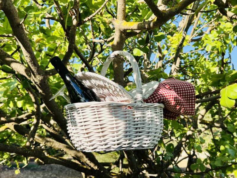 Agrigento: Valley of the Temples Gardens Picnic Experience - Experience Description