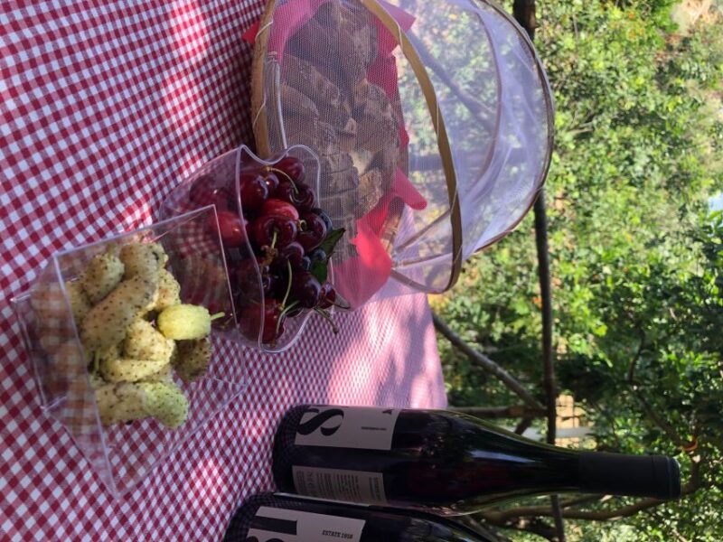 Agrigento: Valley of the Temples Gardens Picnic Experience - Meeting Point and Accessibility