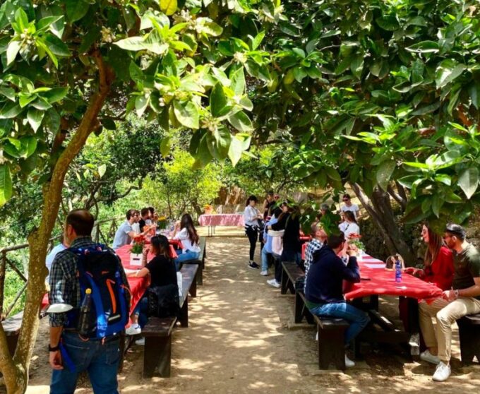 Agrigento: Valley of the Temples Gardens Picnic Experience - Additional Information
