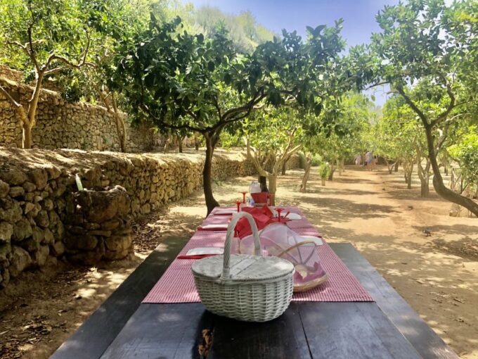 Agrigento: Valley of the Temples Gardens Picnic Experience - Frequently Asked Questions