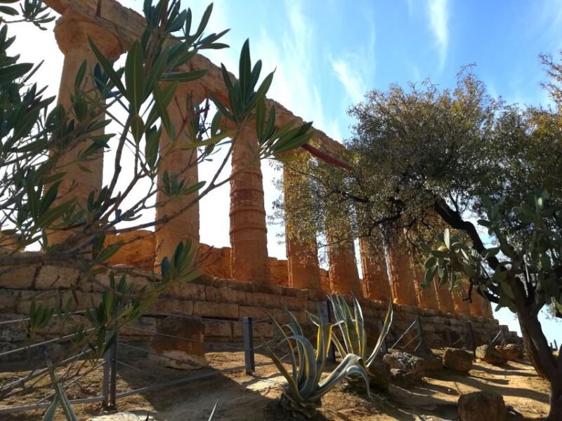 Agrigento: Valley of the Temples Private Tour - Guide and Languages
