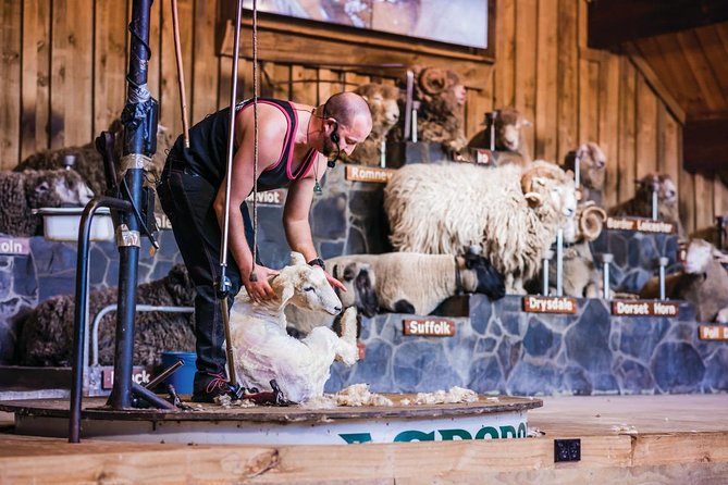 Agrodome Farm Experience Including Farm Show and Farm Tour - Rotorua - Diverse Farm Animal Encounters