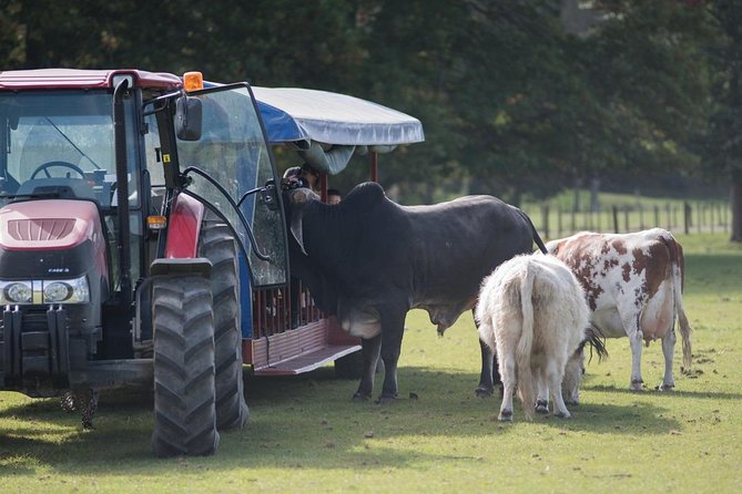 Agrodome Farm Experience Including Farm Show and Farm Tour - Rotorua - Accessibility and Visitor Information