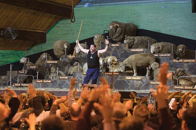 Agrodome Farm Experience Including Farm Show and Farm Tour - Rotorua - Combining Agrodome With Kiwi Hatchery