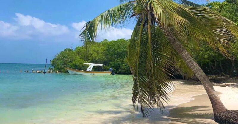 Agua Azul Beach (All-Inclusive Full Day Tour) - Key Points