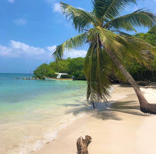Agua Azul Beach (All-Inclusive Full Day Tour) - Experience Highlights