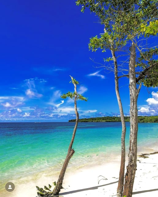 Agua Azul Beach (All-Inclusive Full Day Tour) - Important Information