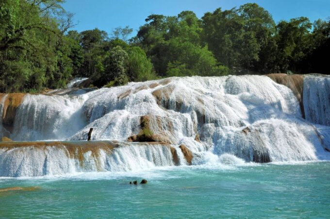 Agua Azul, Misol-Ha & Palenque Ruins From San Cristobal - Frequently Asked Questions