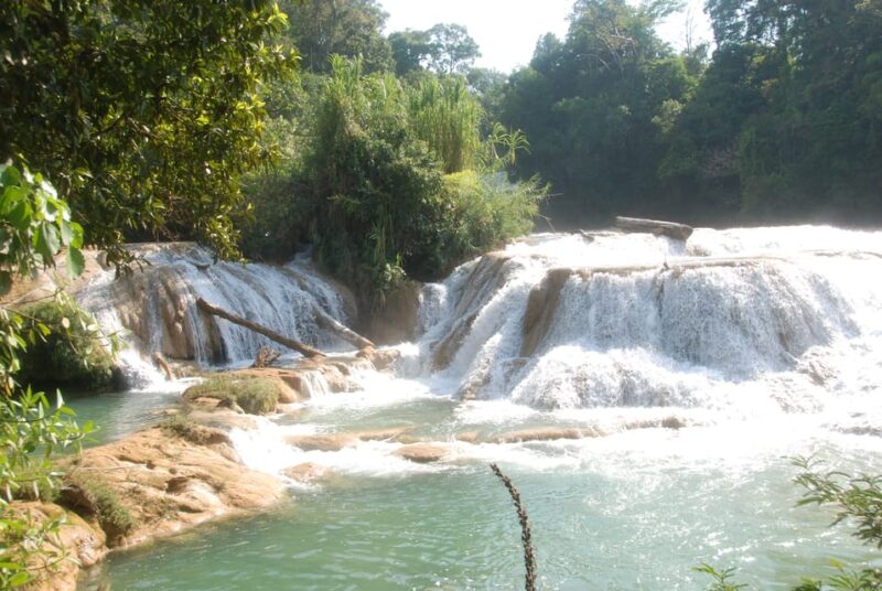 Agua Azul & Palenque Ruins: Full-Day Tour From San Cristobal - Tour Inclusions