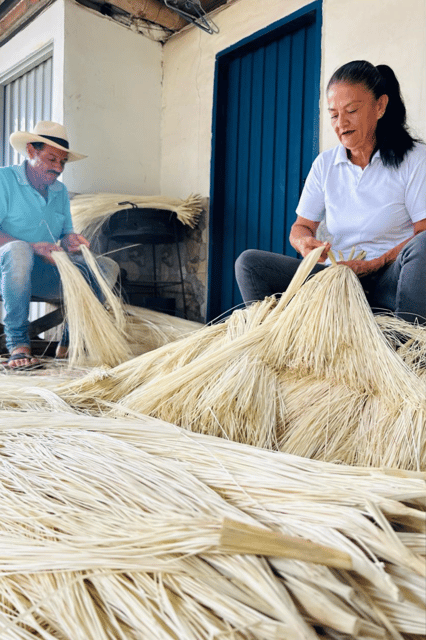 AGUADAS, CALDAS: AGUADEÑO HAT TOUR - Transportation and Logistics