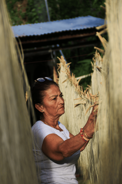 AGUADAS, CALDAS: AGUADEÑO HAT TOUR - Cultural Experience and Traditions