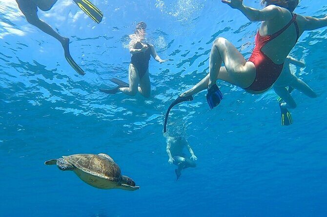 Aguadilla Tropical Snorkeling - An Insider’s Look at What to Expect