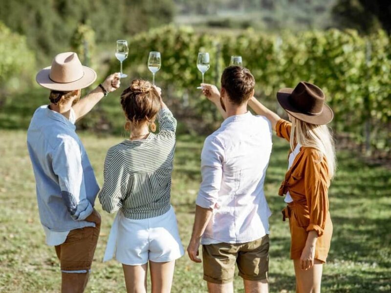 Aguascalientes: Blind Tasting at Hacienda De Letras Vineyard - Utilizing the Senses for Tasting