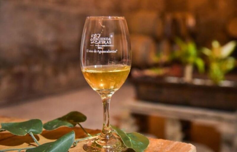 Aguascalientes: Blind Tasting at Hacienda De Letras Vineyard - Inclusions and Amenities