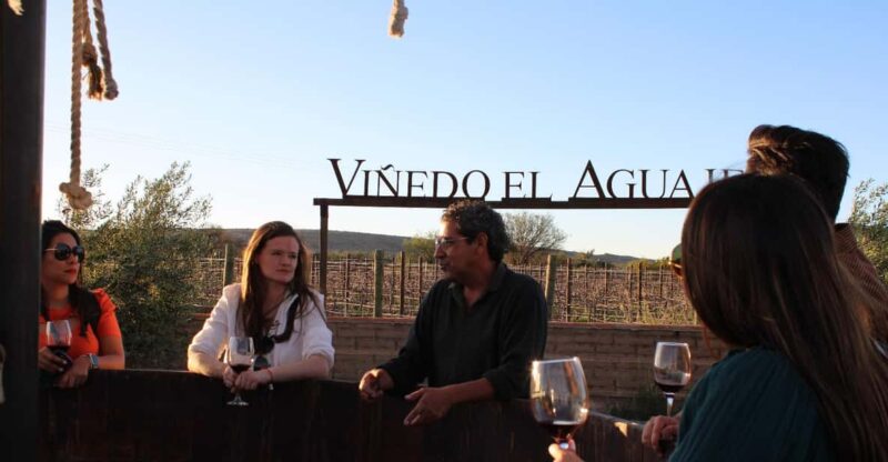 Aguascalientes: Explore Two of the Best Vineyards - Highlights of the Vineyard Tours