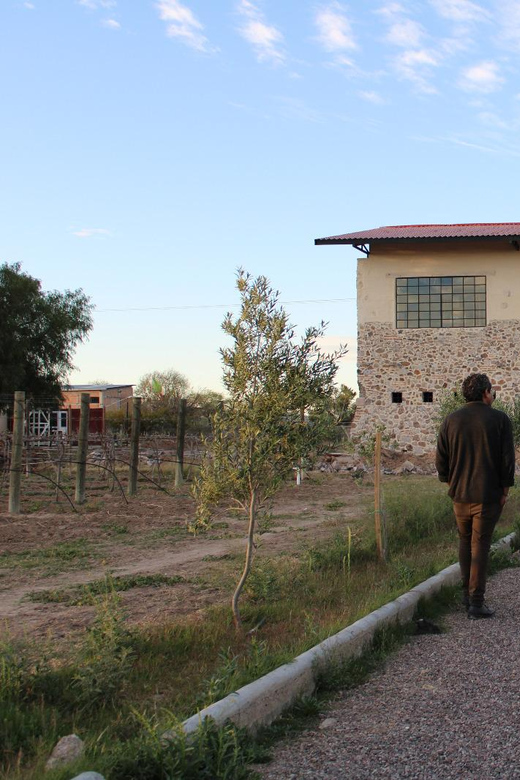 Aguascalientes: Explore Two of the Best Vineyards - Dining at the Vineyards