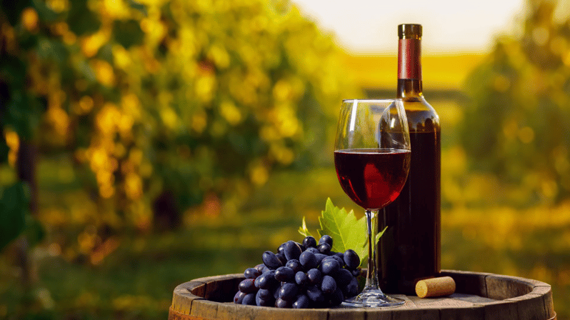 Aguascalientes: Wine Route With Tasting Included - Itinerary and Experience