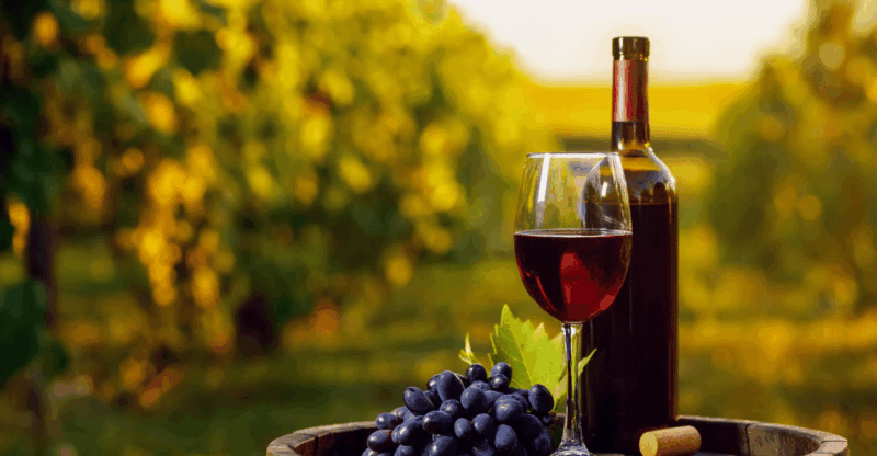 Aguascalientes: Wine Route With Tasting Included - Highlights and Learning Opportunities
