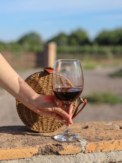 Aguascalientes: Wine Tourism Tour - Tour Overview