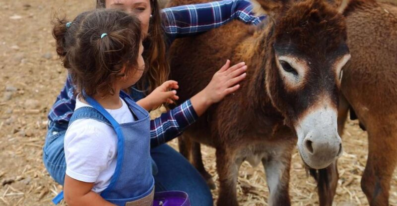 Agüimes: Be a Farmer for the Day at La Jaira De Ana - Key Points