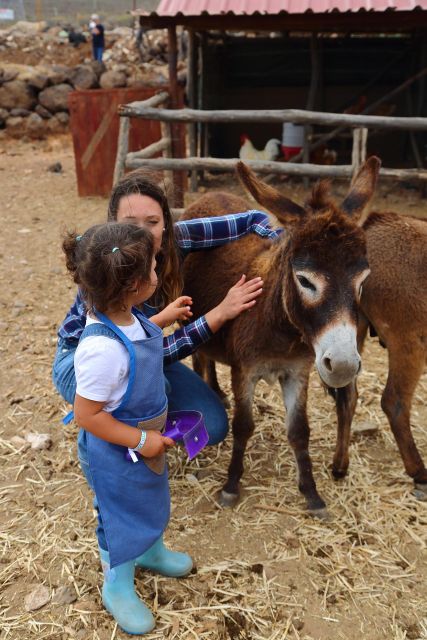 Agüimes: Be a Farmer for the Day at La Jaira De Ana - Animal Interactions